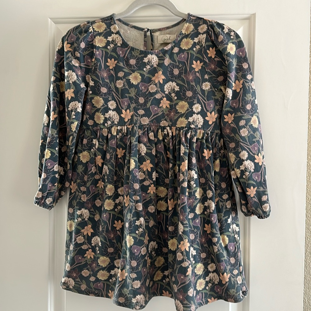 Peek kids girls fall floral dress.